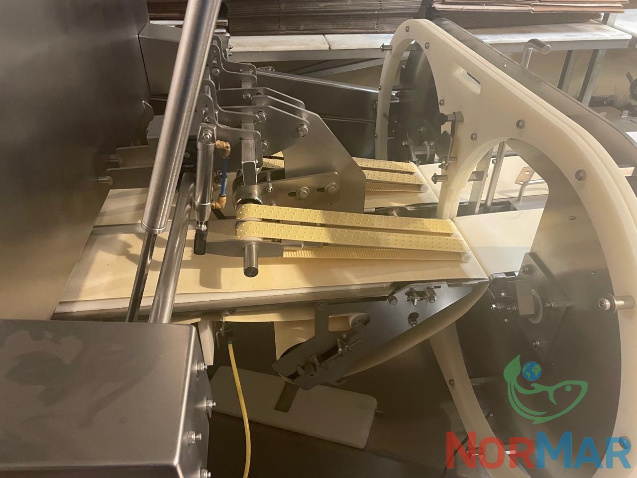Marel I-cut 22 (1)