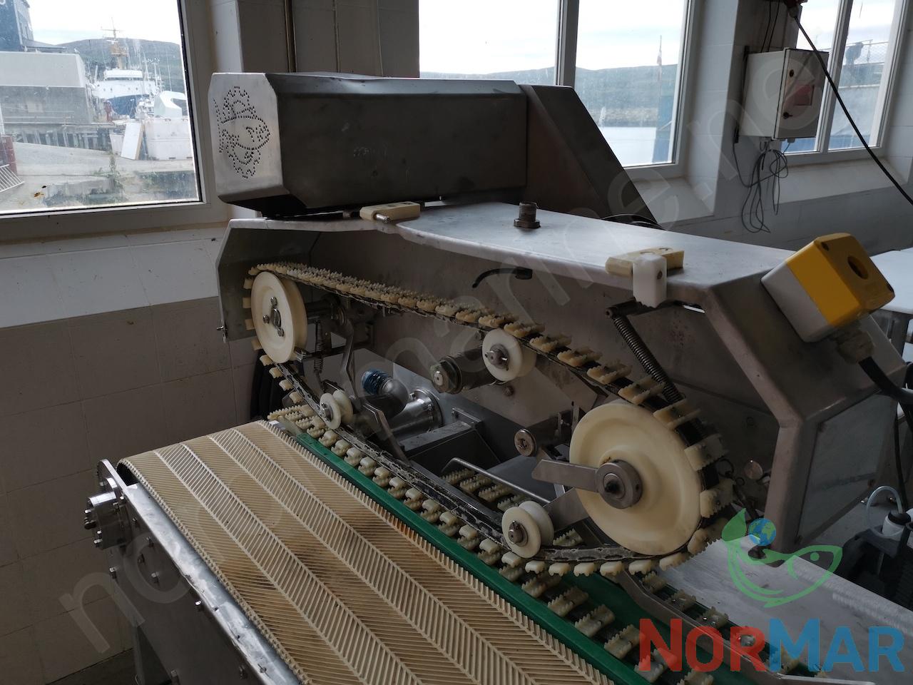 josmar_jm-454_fish_head_cutting_machine__5