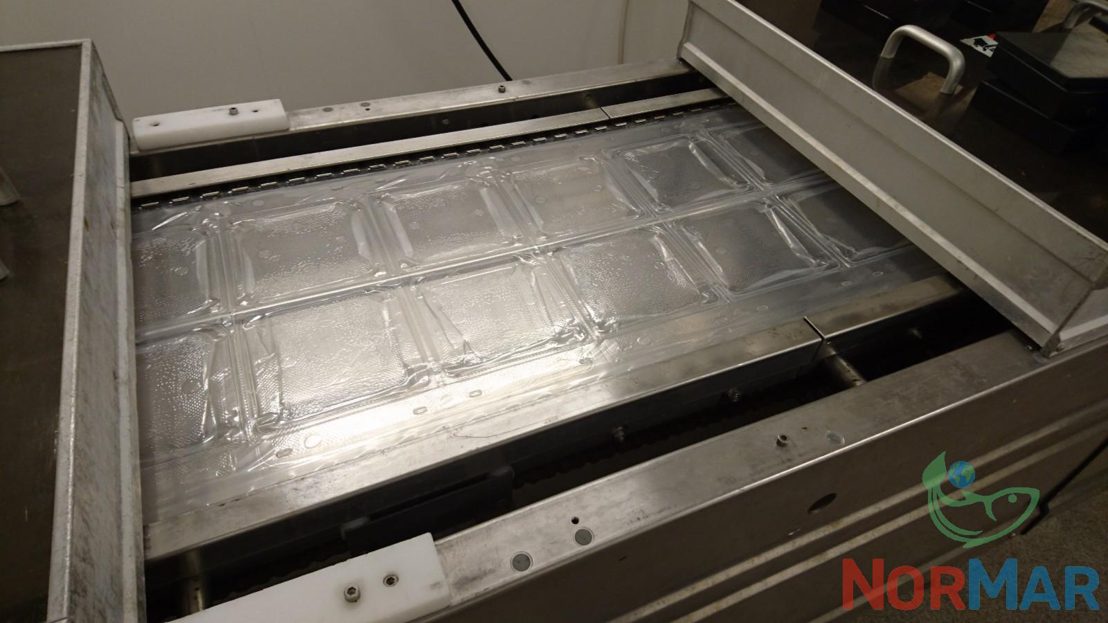 Multivac R230 (3)