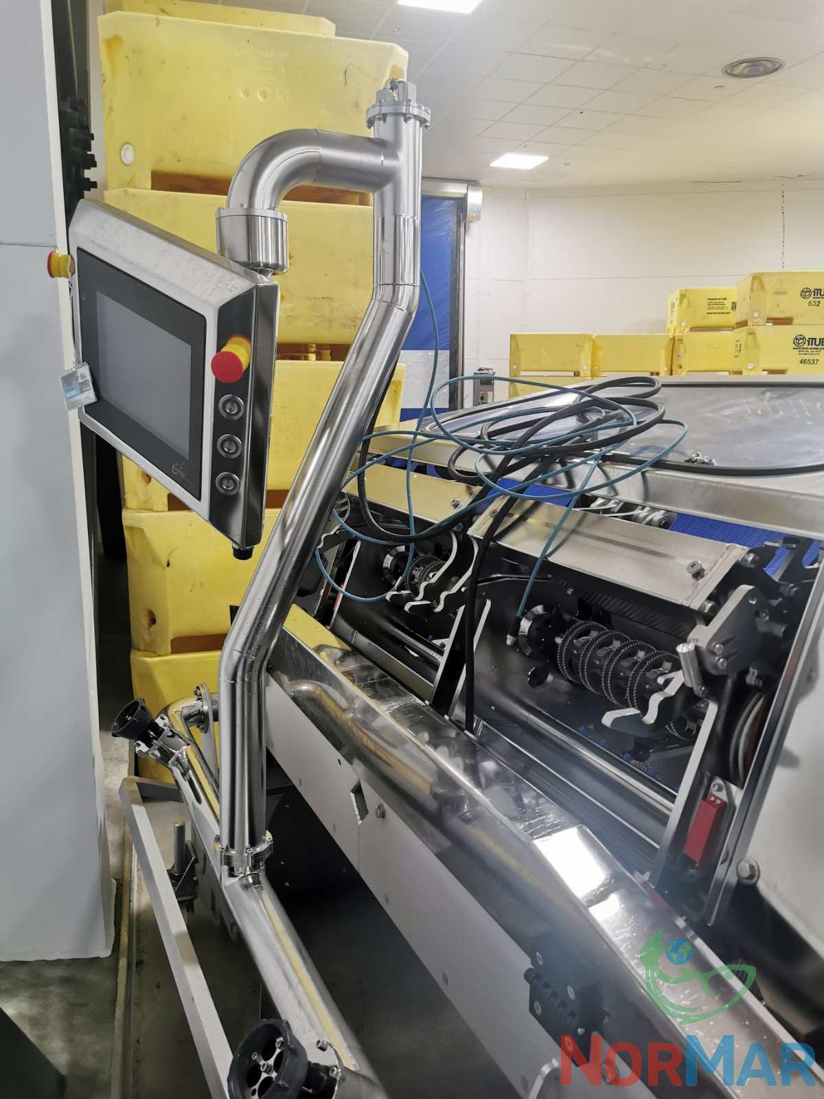 Curio C2031-4