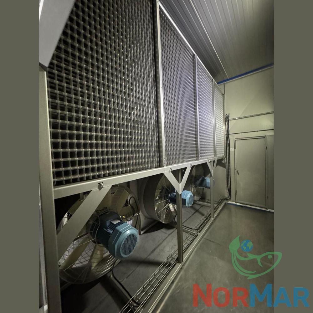 Scanico Freezer (7)