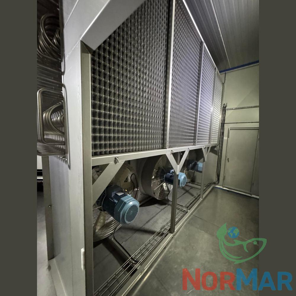 Scanico Freezer (9)