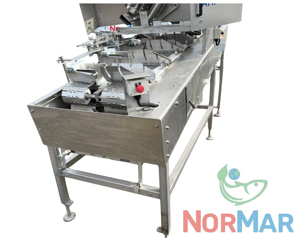 Packing Line (3)