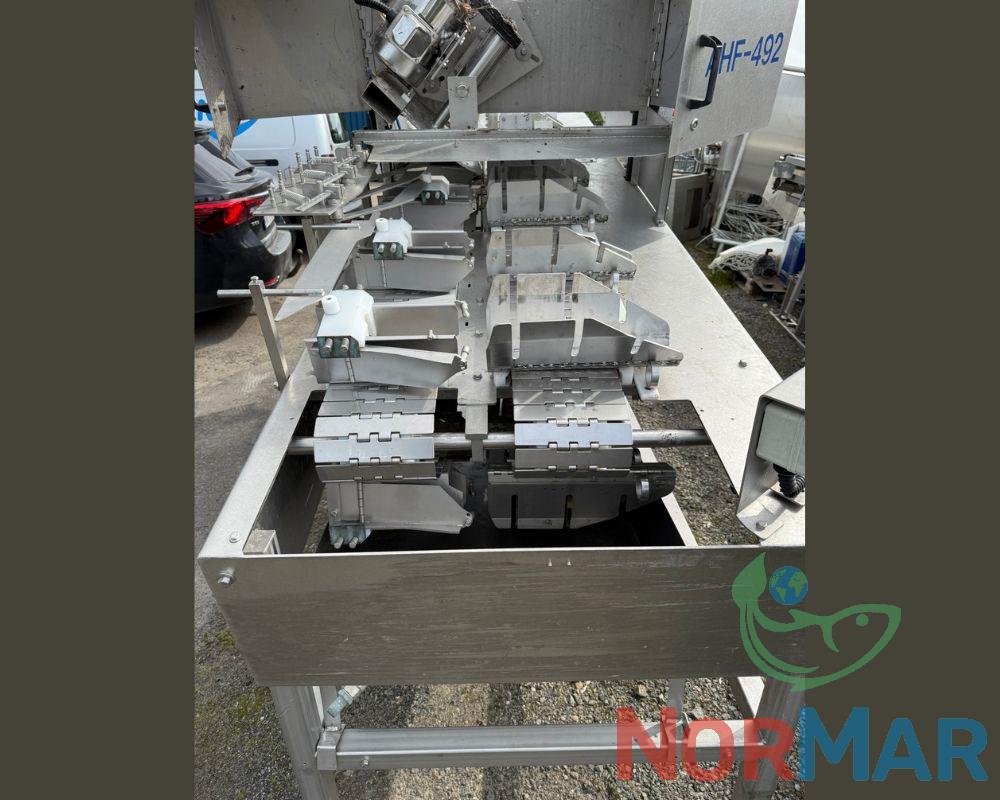 Packing Line