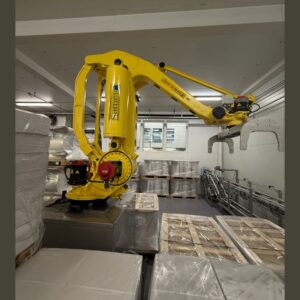Palletizing robot Fanuc M-410iB 160